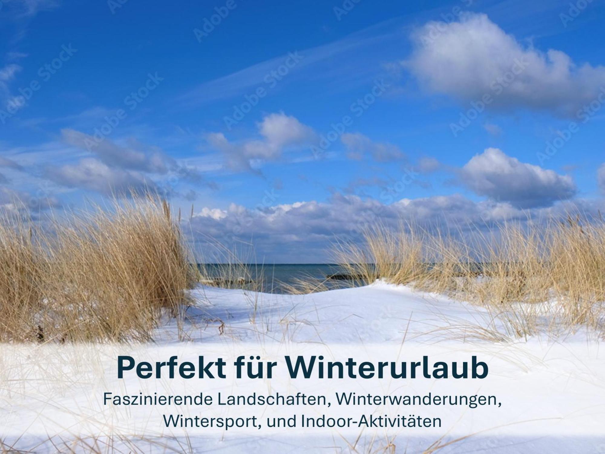 Zinnowitz, Paradies Am Wald - Wg 05 מראה חיצוני תמונה